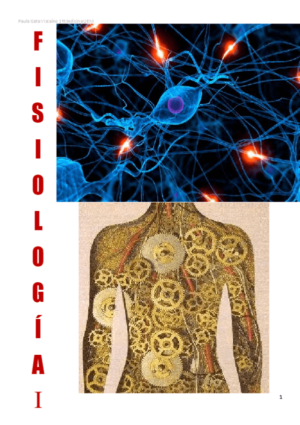 Miniatura del documento primer-parcial-apuntes.pdf