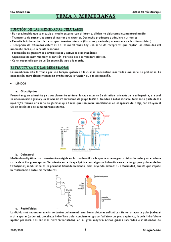 Miniatura del documento TEMA 3: Membranas