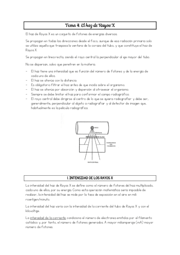 Miniatura del documento El-haz-de-rayos-x.pdf
