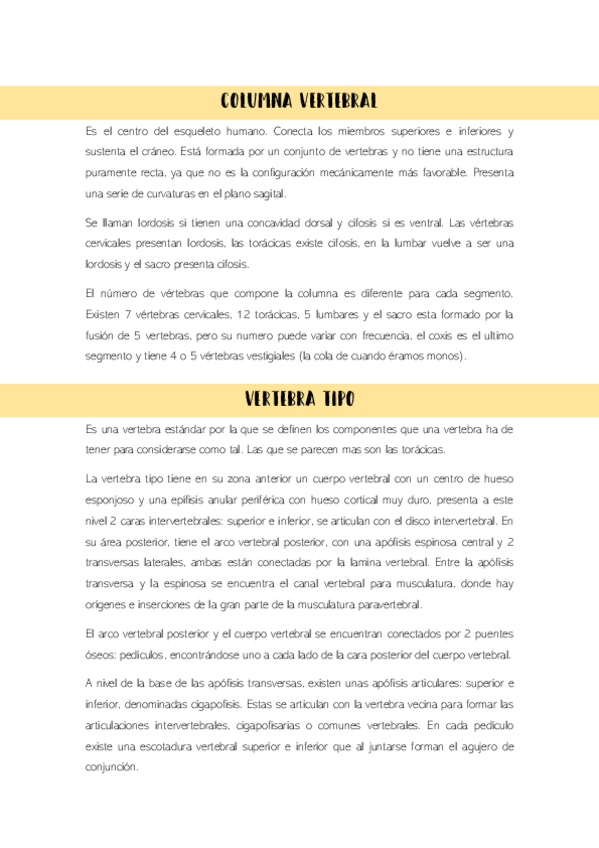 Miniatura del documento columna-y-pelvis.pdf