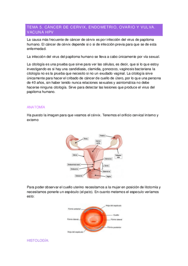 Miniatura del documento Tema-5.pdf