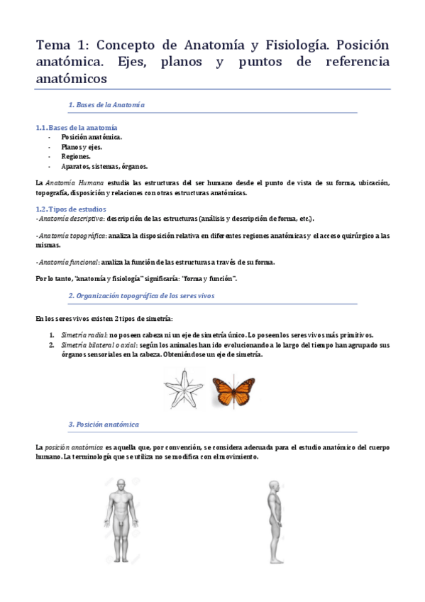 Miniatura del documento 1 - Anatomía.pdf