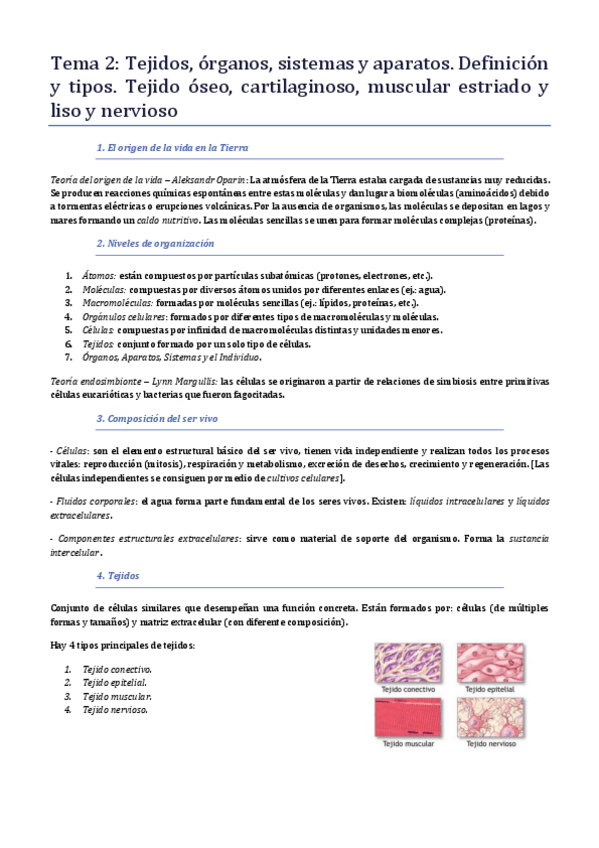 Miniatura del documento 2 - Anatomía.pdf
