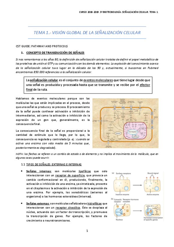 Miniatura del documento TEMA-1-7.pdf