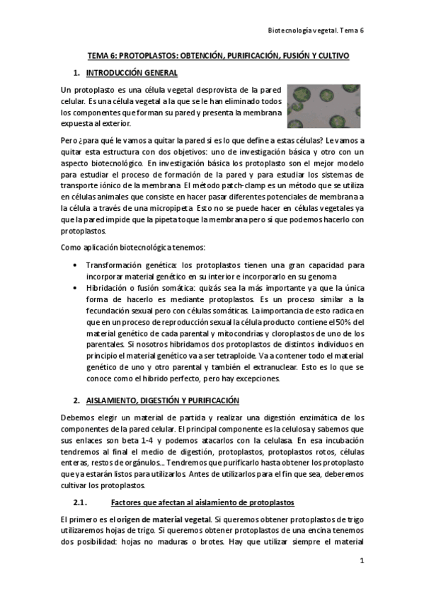 Miniatura del documento TEMA-6.pdf
