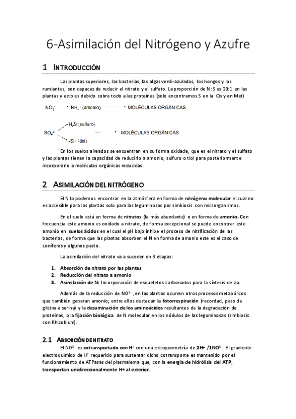 Miniatura del documento 6-Asimilacion-de-N-y-S.pdf