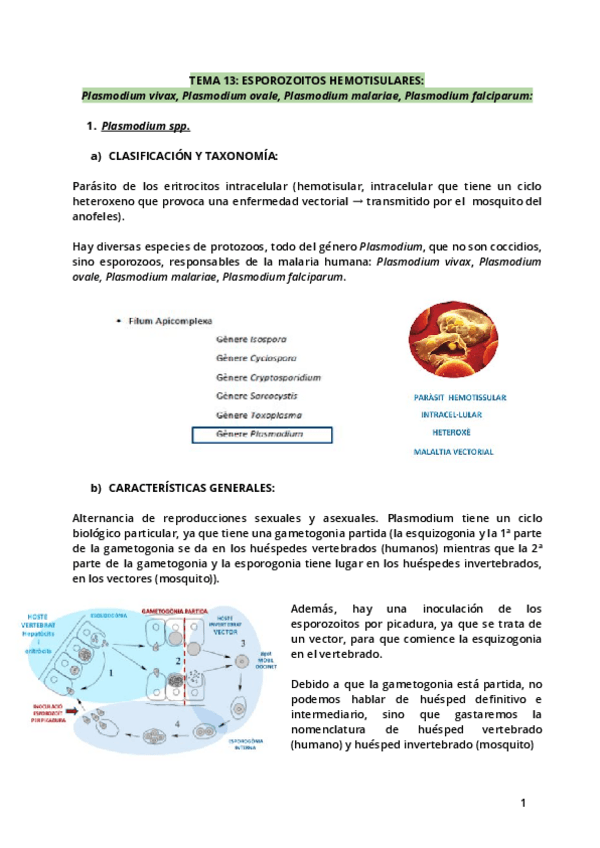 Miniatura del documento Tema-13.pdf