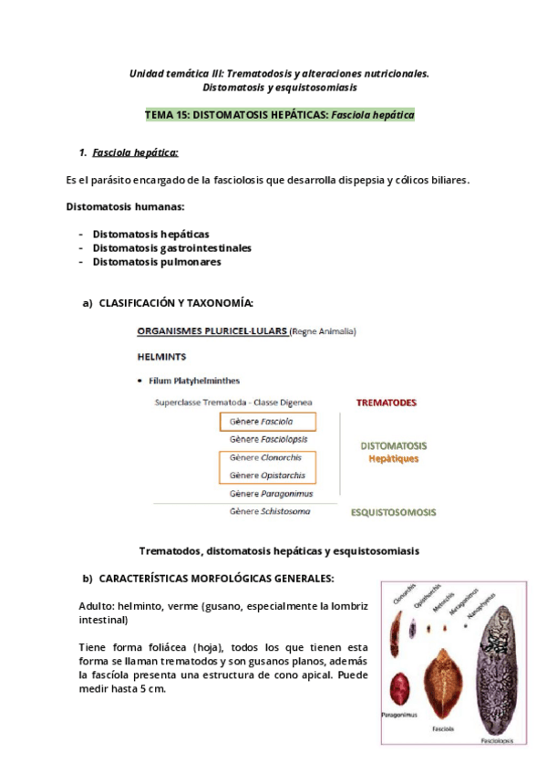 Miniatura del documento Tema-15.pdf