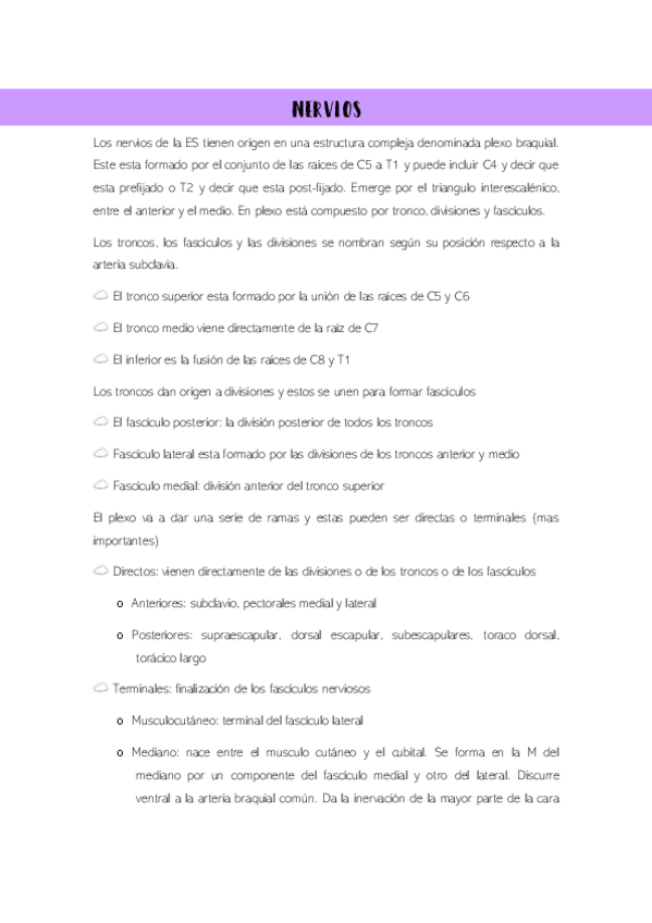 Miniatura del documento nervios-y-vasos.pdf