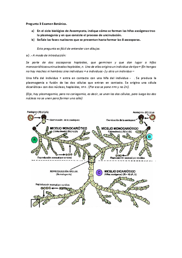 Miniatura del documento 3 Examen Botánica pregunta 3.pdf