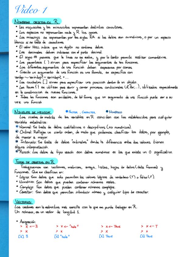 Miniatura del documento Video-1.pdf