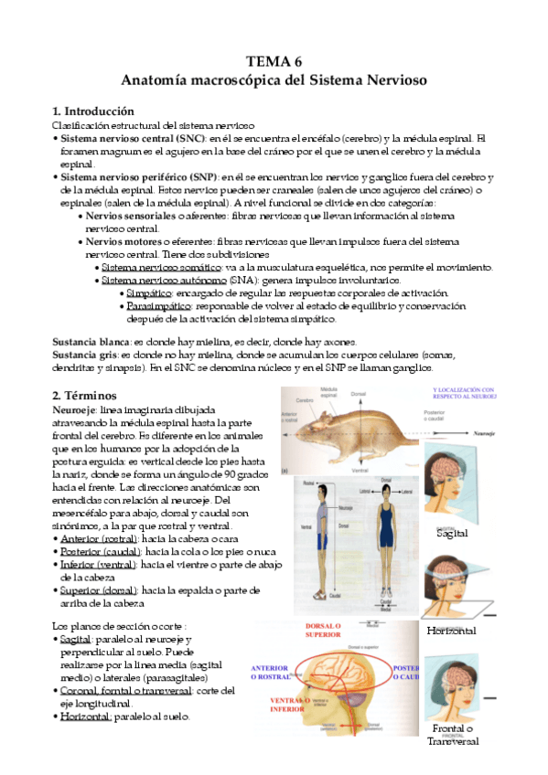 Miniatura del documento tema 6 FB