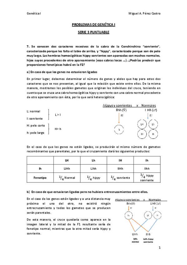 Miniatura del documento Serie 3-Puntuable RESUELTA.pdf
