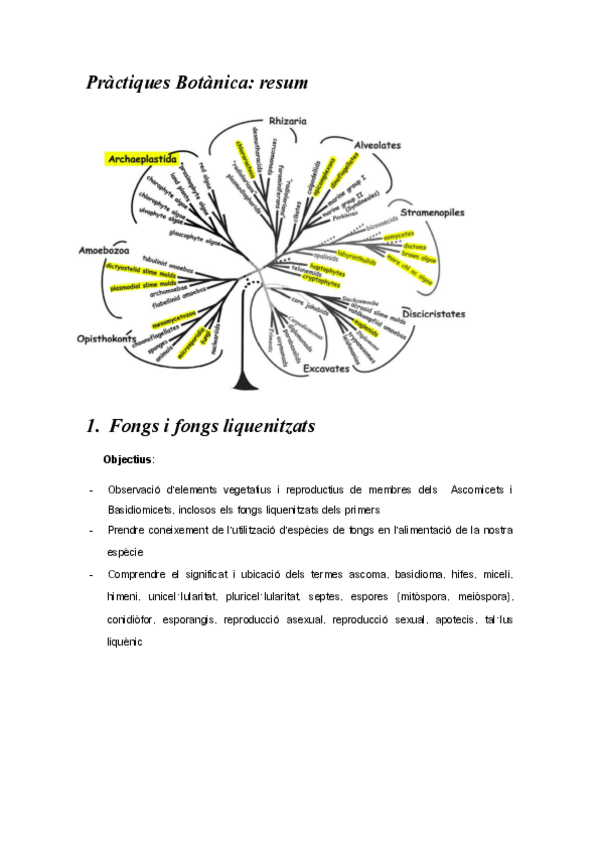 Miniatura del documento Resum-practiquess.pdf