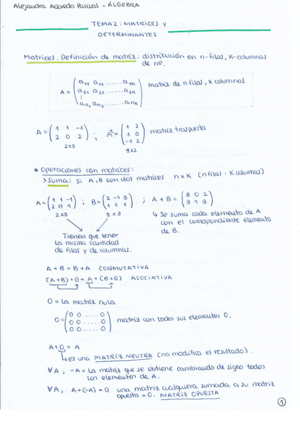 Miniatura del documento TEMA-2-ALGEBRA.pdf