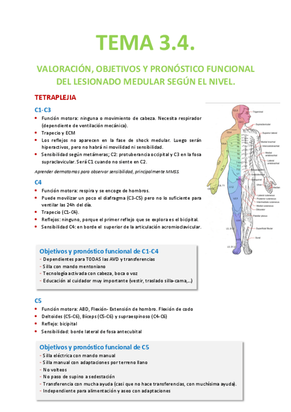 Miniatura del documento Tema-3.pdf