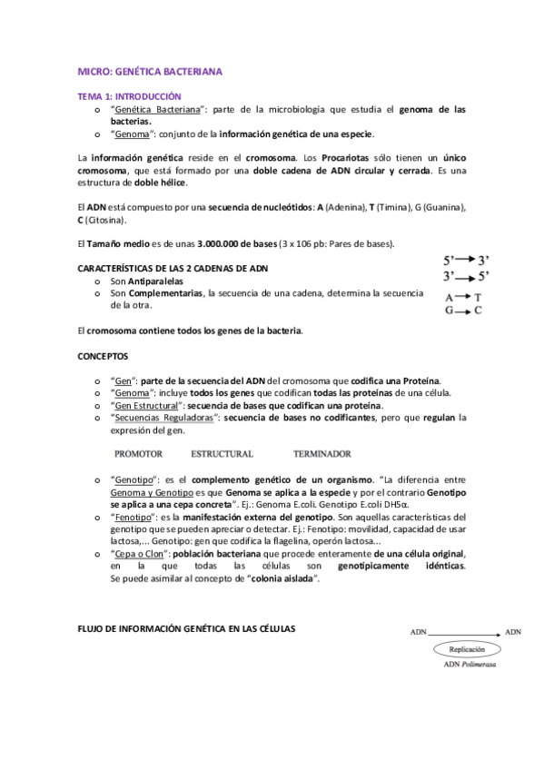 Miniatura del documento Genetica-bacteriana-1.pdf