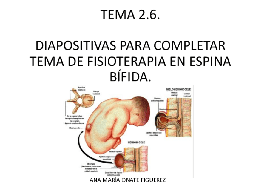 Miniatura del documento TEMA-2.pdf