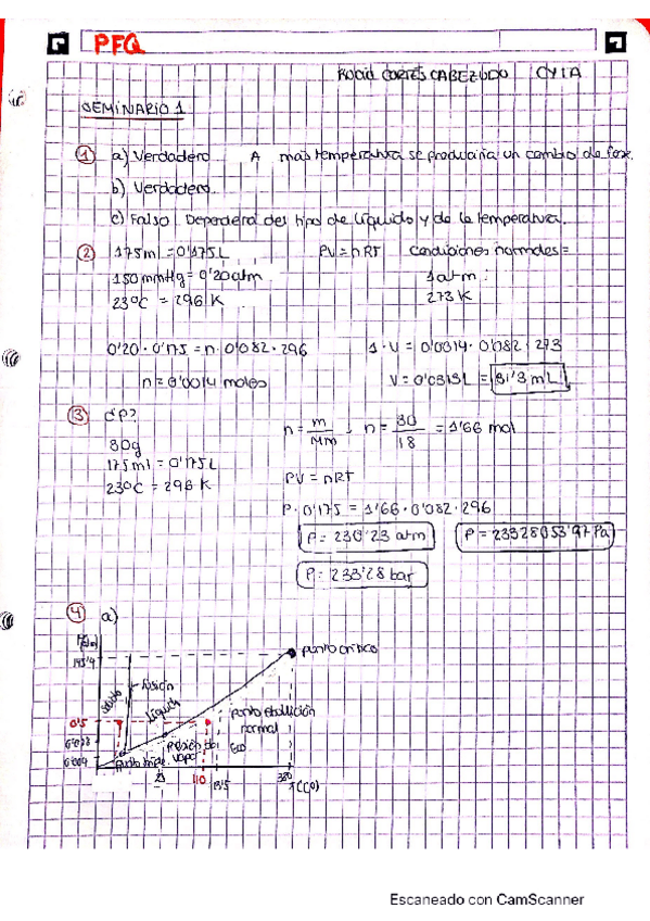 Miniatura del documento pfq-seminario-1-1.pdf