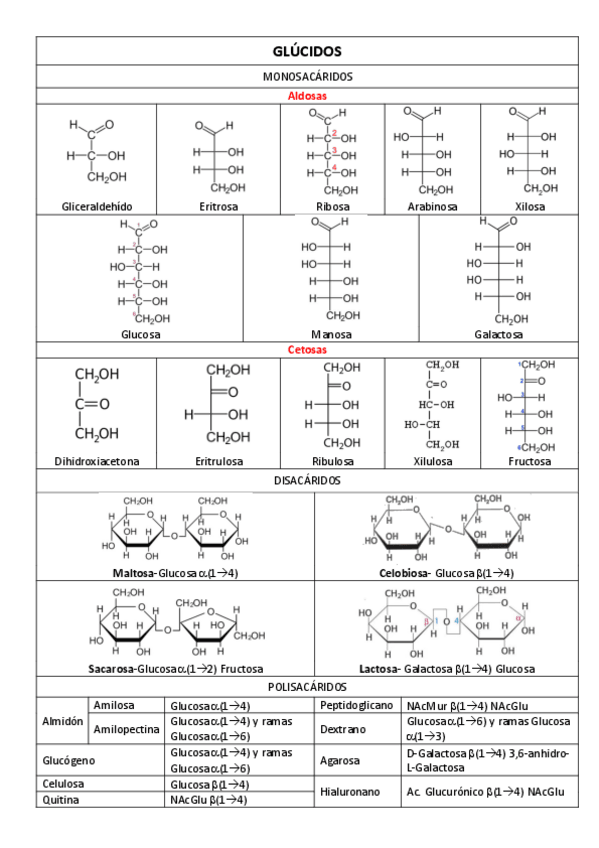 Miniatura del documento BIOMOLECULAS.pdf