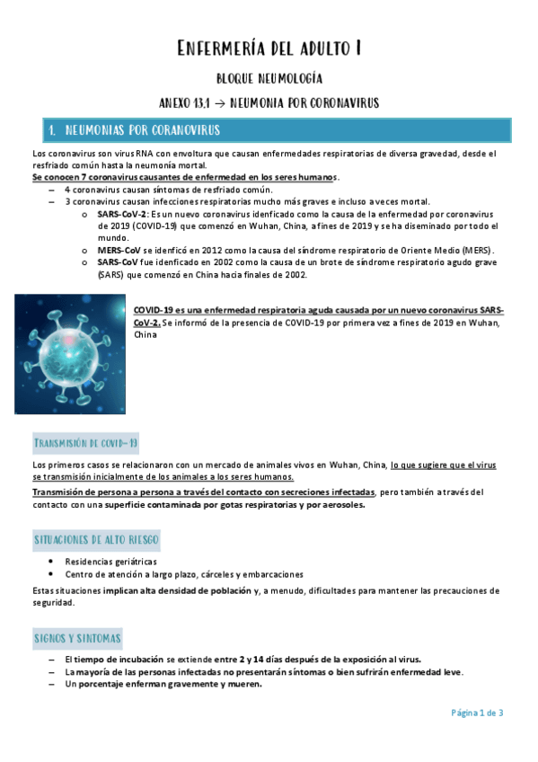 Miniatura del documento Enfermeria-del-adulto-I-tema-13.pdf