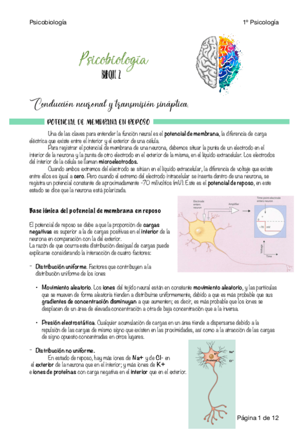 Miniatura del documento Apuntes-PBI-U2.pdf