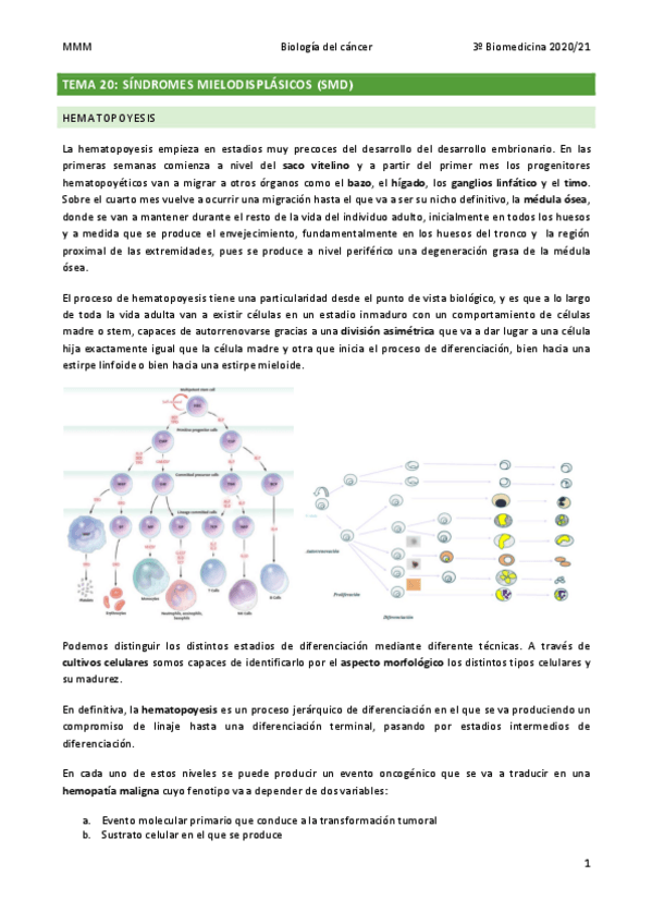 Miniatura del documento TEMA-20-Sindromes-mielodisplasicos-SMD.pdf