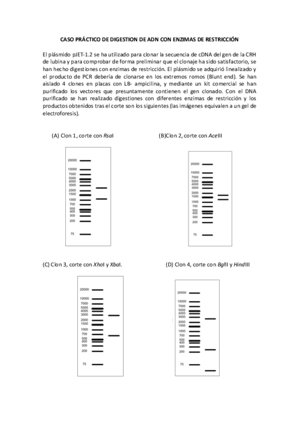 Miniatura del documento Caso práctico Enzimas restriccion (1).pdf