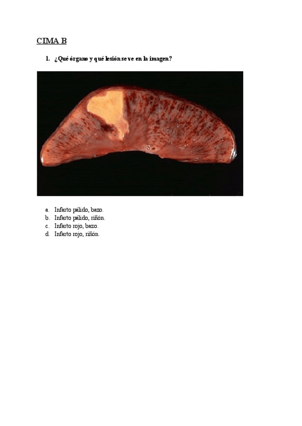 Miniatura del documento CIMA-B-La-circulacion-se-altera.pdf
