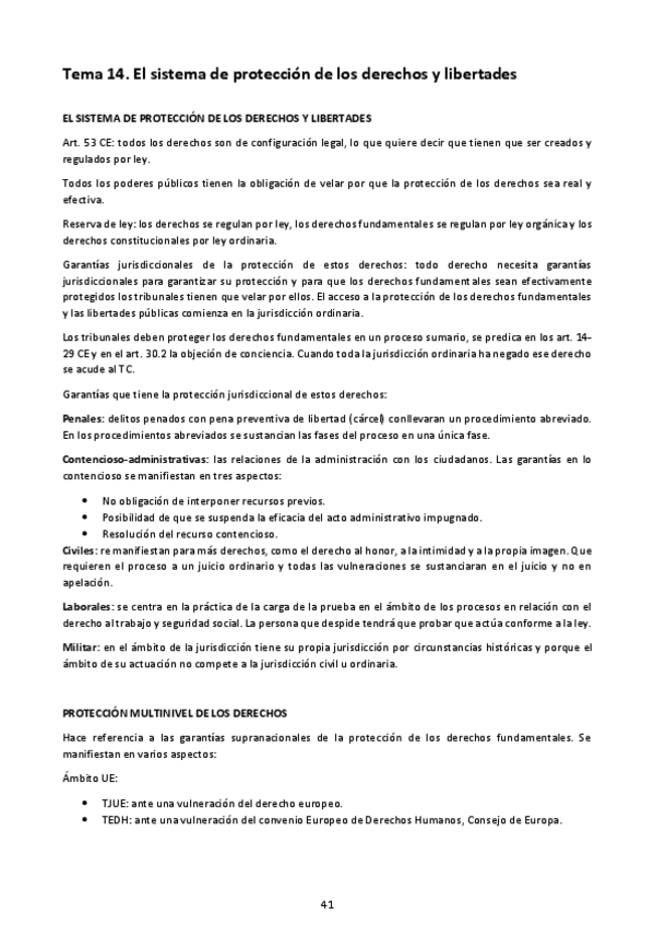 Miniatura del documento TEMA-14-El-sistema-de-proteccion-de-los-derechos-y-libertades.pdf