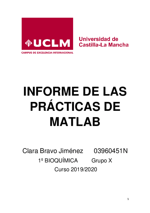 Miniatura del documento INFORME.pdf