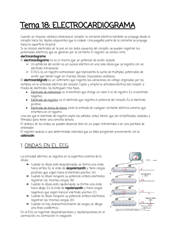 Miniatura del documento Tema-18.pdf