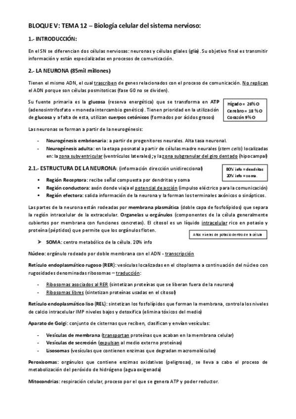 Miniatura del documento TEMA-12-BLOQUE-V.pdf
