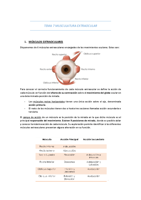 Miniatura del documento TEMA-7-MUSCULATURA-EXTRAOCULAR.pdf