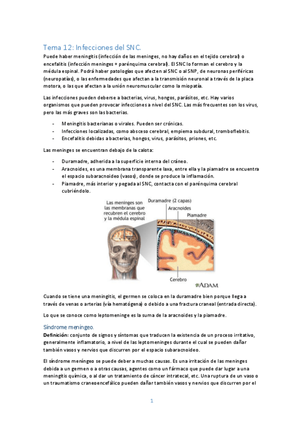 Miniatura del documento Tema-12-Meningitis.pdf