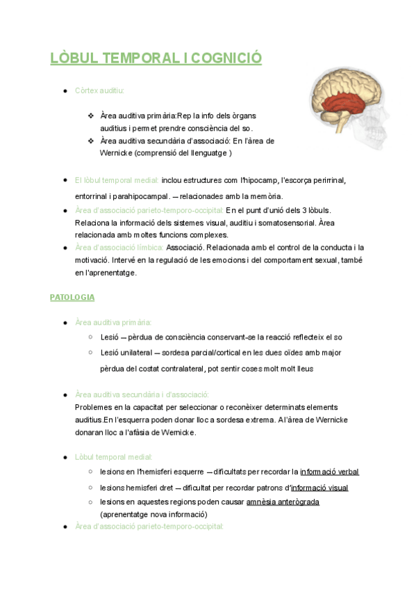 Miniatura del documento RESUM-LOBUL-TEMPORAL-pdf.pdf