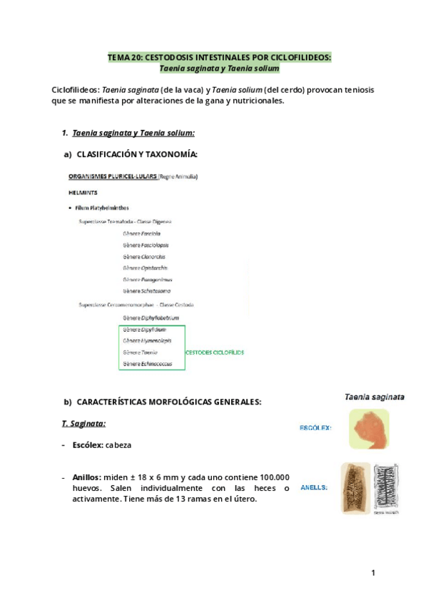 Miniatura del documento Tema-20.pdf