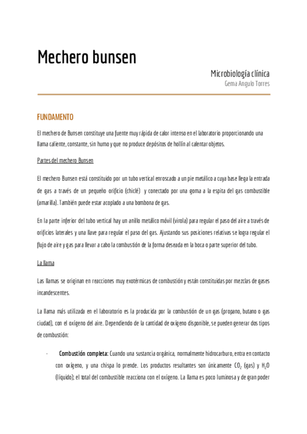 Miniatura del documento 1 mechero-bunsen