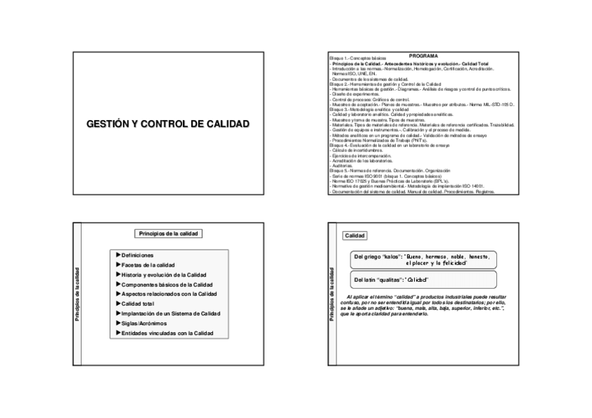Miniatura del documento 01Calidad.pdf