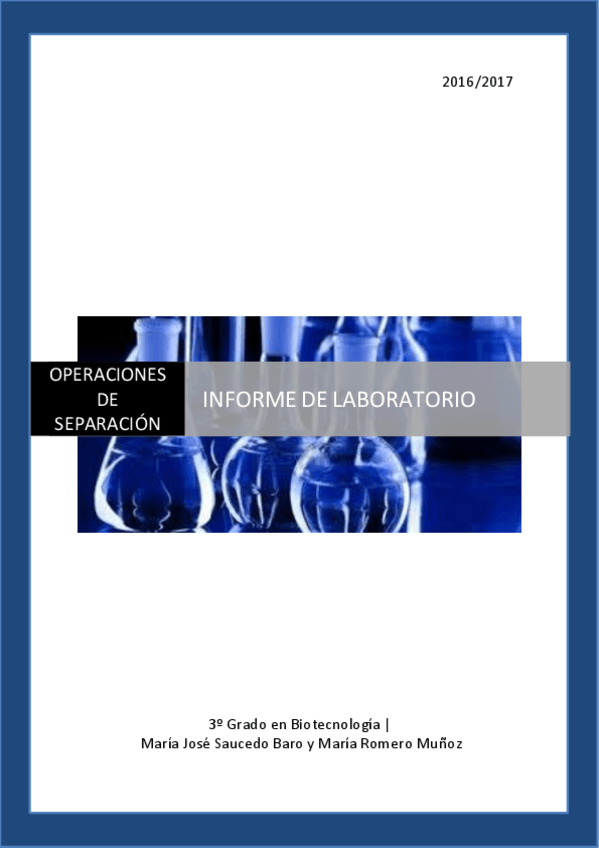 Miniatura del documento memoria.pdf