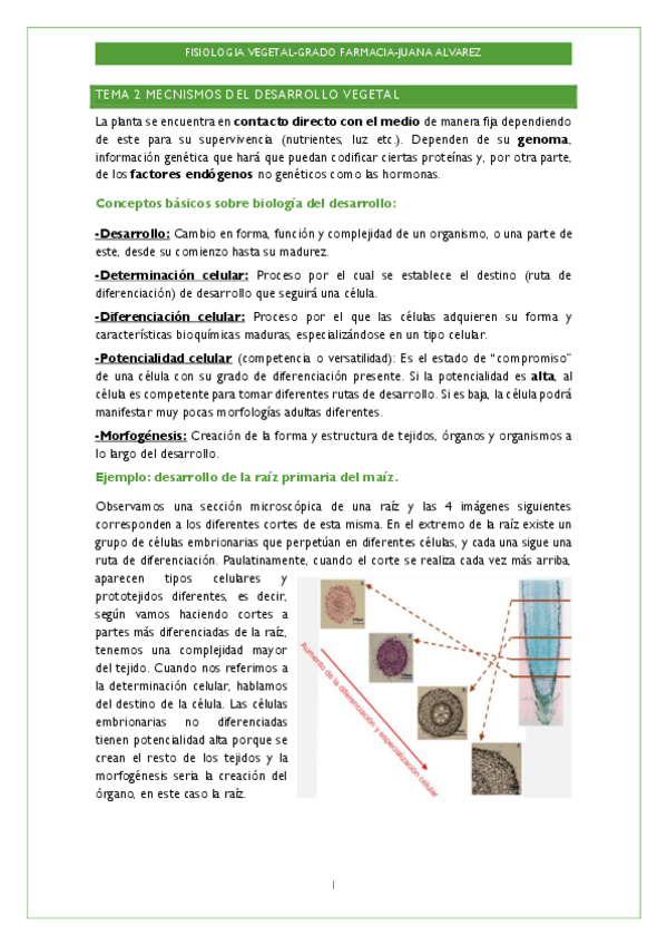 Miniatura del documento TEMA-2-Y-3.pdf