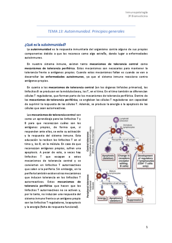 Miniatura del documento Tema-13.pdf