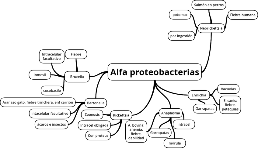 Miniatura del documento png.png