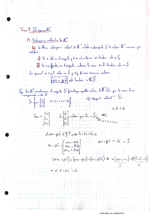 Miniatura del documento Tema4TeoriaEspacioRn.pdf