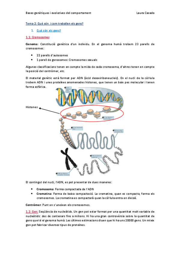 Miniatura del documento Tema 2_Què són i com treballen els gens_Classe26_2_16.pdf