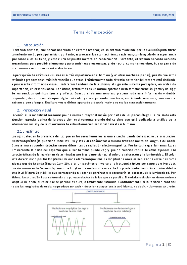 Miniatura del documento Tema-4-Percepcion.pdf