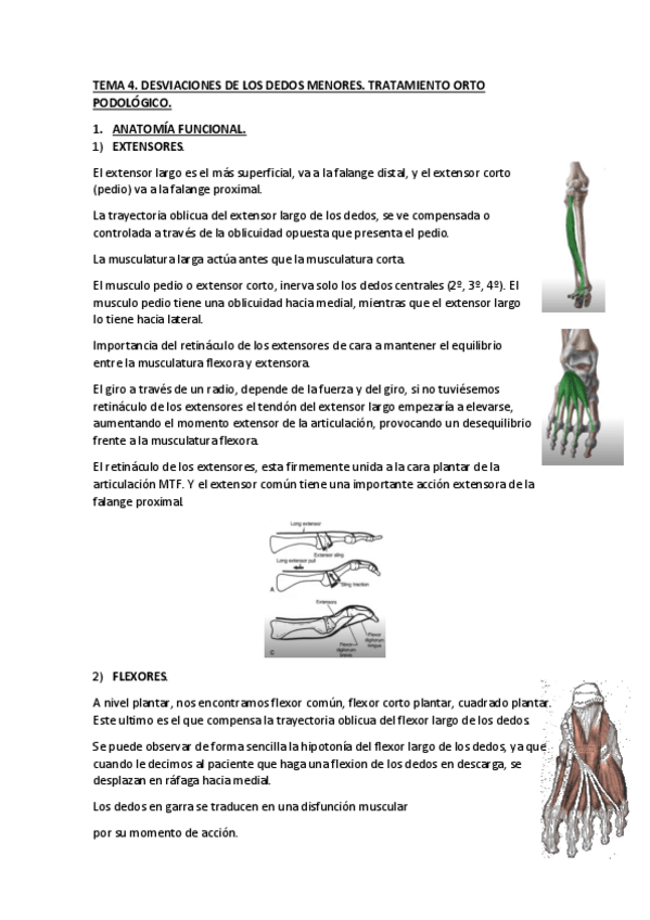 Miniatura del documento TEMA-4.pdf