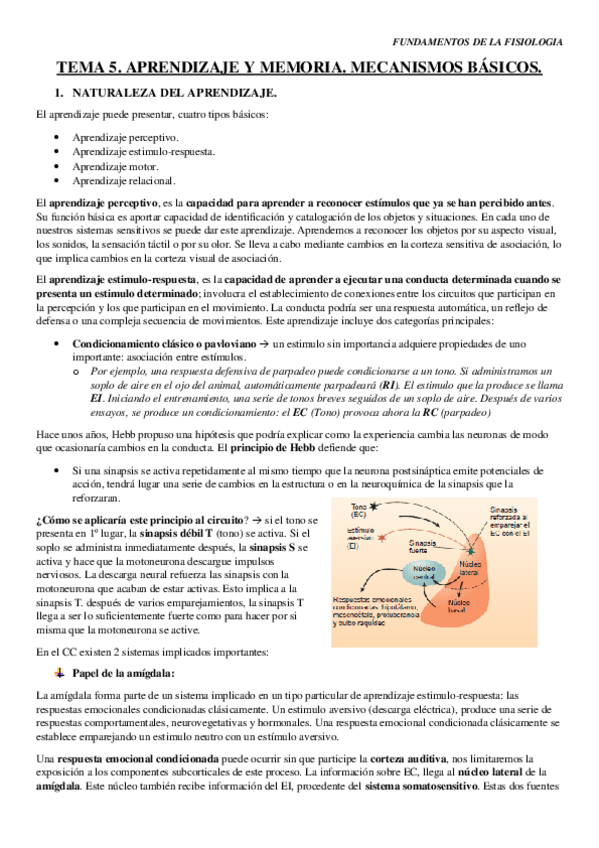 Miniatura del documento TEMA-5.pdf