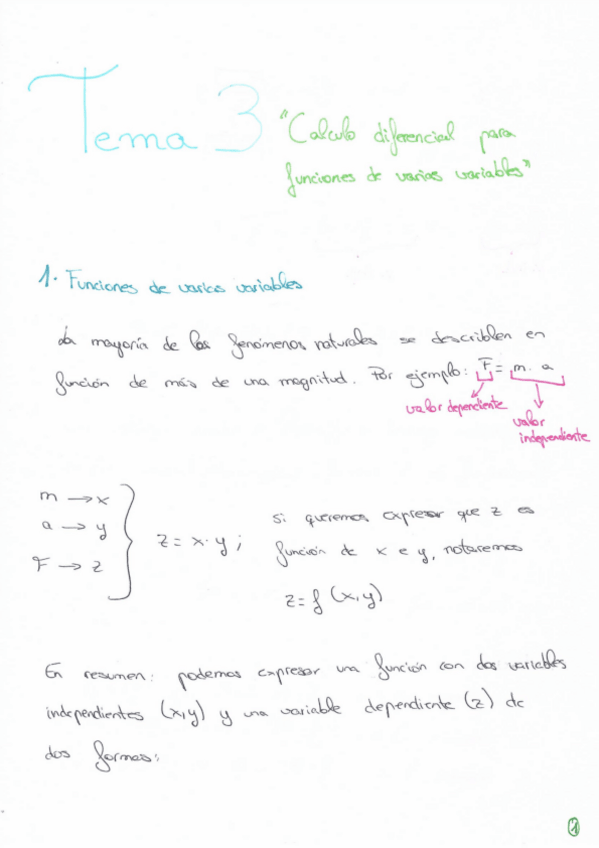 Miniatura del documento Apuntes-clase-tema-3-calculo.pdf