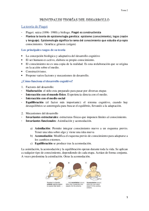 Miniatura del documento TEMAS-DE-DESARROLLO-COGNITIVO-Y-LINGUISTICO.pdf